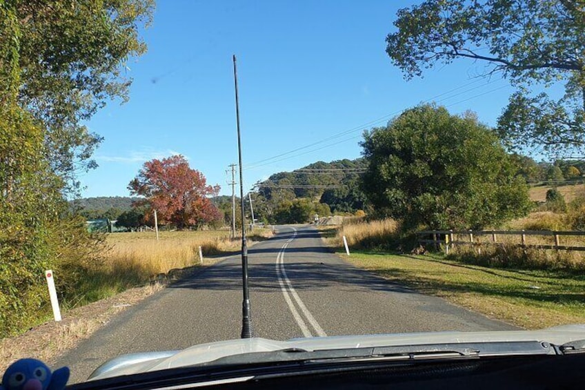 On the road to Dorrigo.