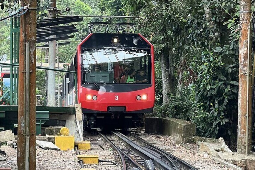 Tijuca Forest