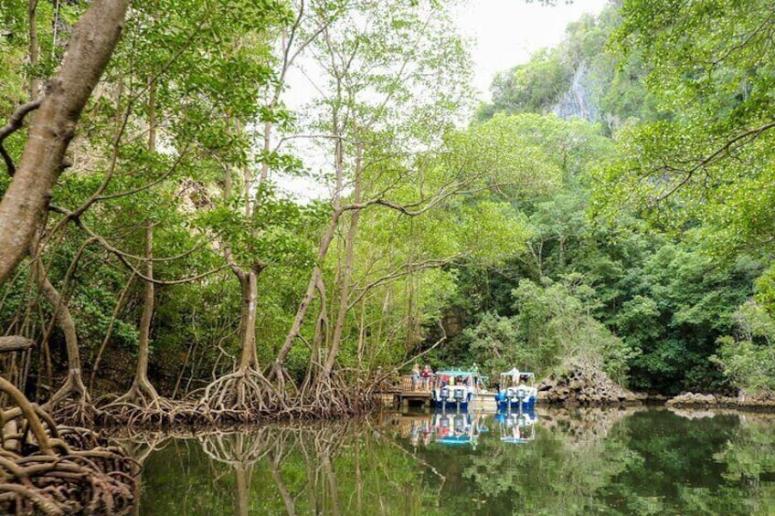 Haitises & Montaña Redonda, Nature's Beauty Tour