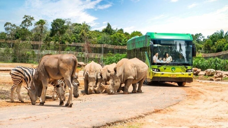 Vietnam: Vinpearl Safari Phu Quoc