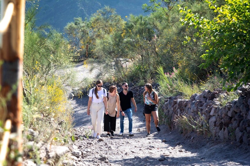 Herculaneum and Vesuvius select