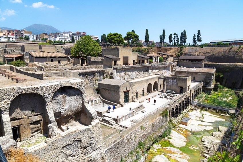 Herculaneum and Vesuvius select