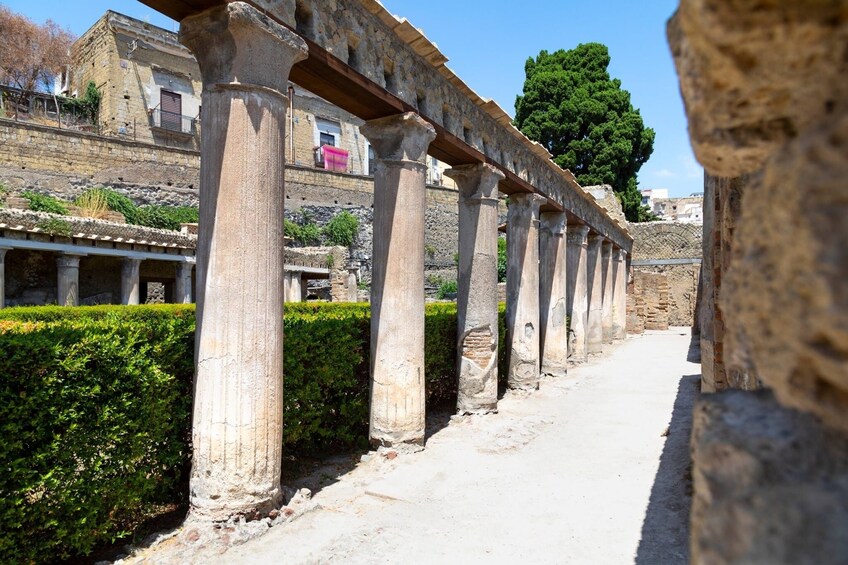 Herculaneum and Vesuvius select