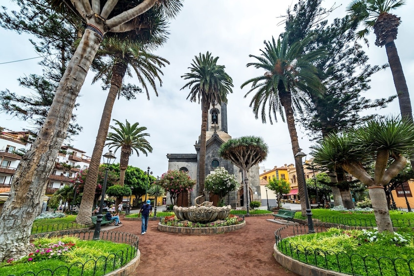 Tenerife Highlights Full Day Tour with Lunch 