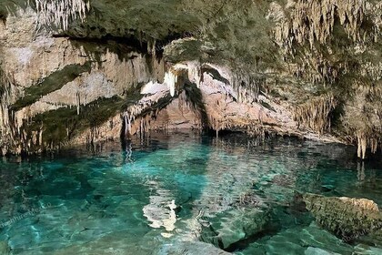 VIP 2 Cenotes Tour Adventure with Private Guide