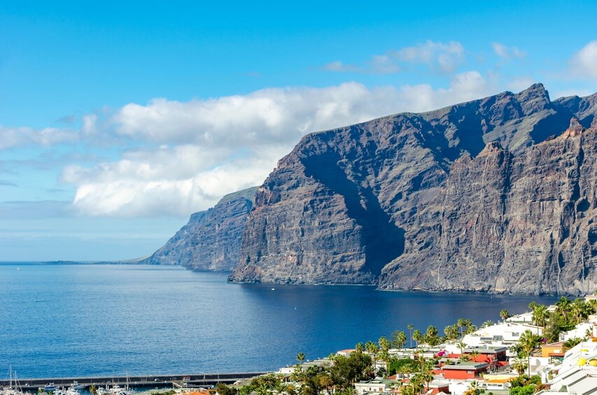 Adults Only Tenerife Freebird Whale Dolphin Catamaran with Lunch 