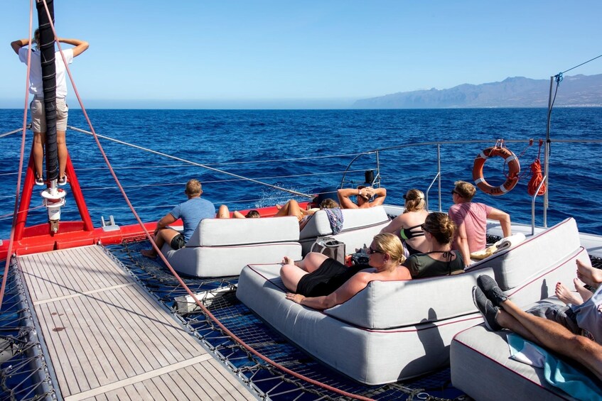 Exclusive Freebird Catamaran Whale and Dolphin Cruise to La Caleta 