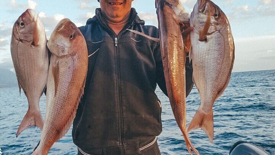 Private Boat Tour and Fishing Experience in Montenegro