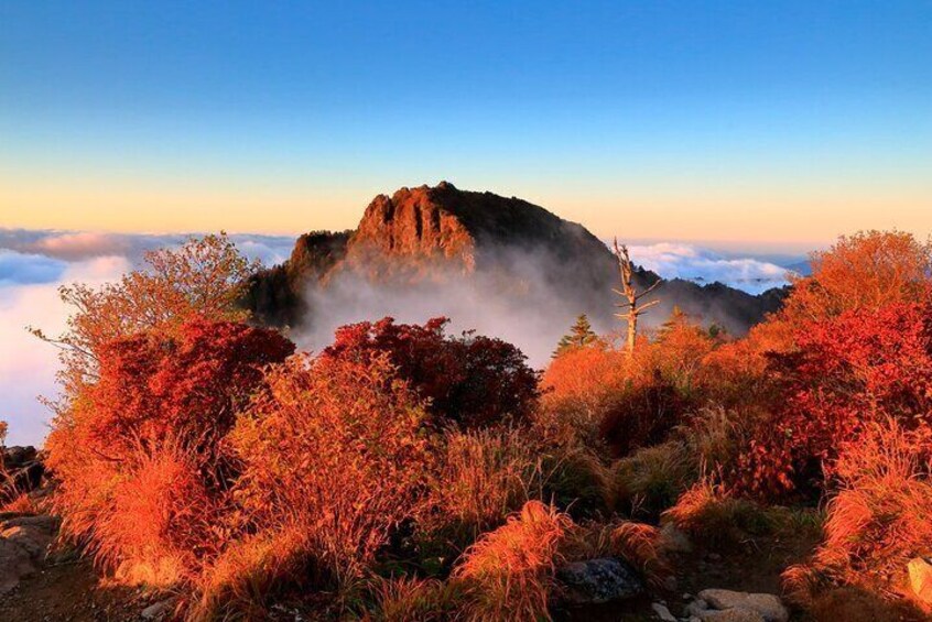 Scenic Jiri Mountain Autumn Foliage One Day Tour