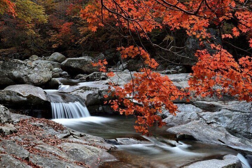 Scenic Jiri Mountain Autumn Foliage One Day Tour