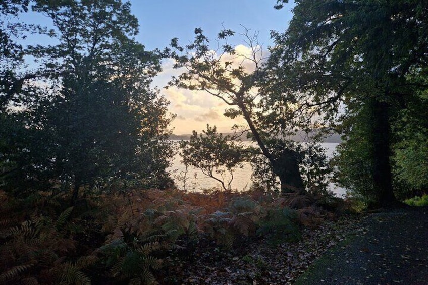 Muckross House and Gardens, Killarney - Scenic Tour (Minimum 4 People - 1 way).