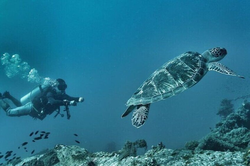 Pulau Perhentian Diving for Beginners