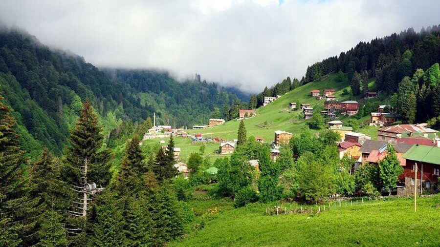 Ayder Tour with Fırtına Valley Adventure: Full-Day Experience
