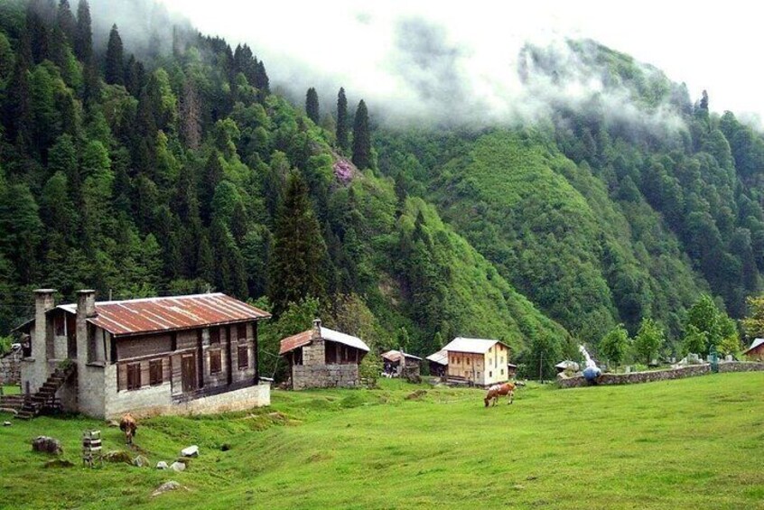Ayder Tour with Fırtına Valley Adventure: Full-Day Experience