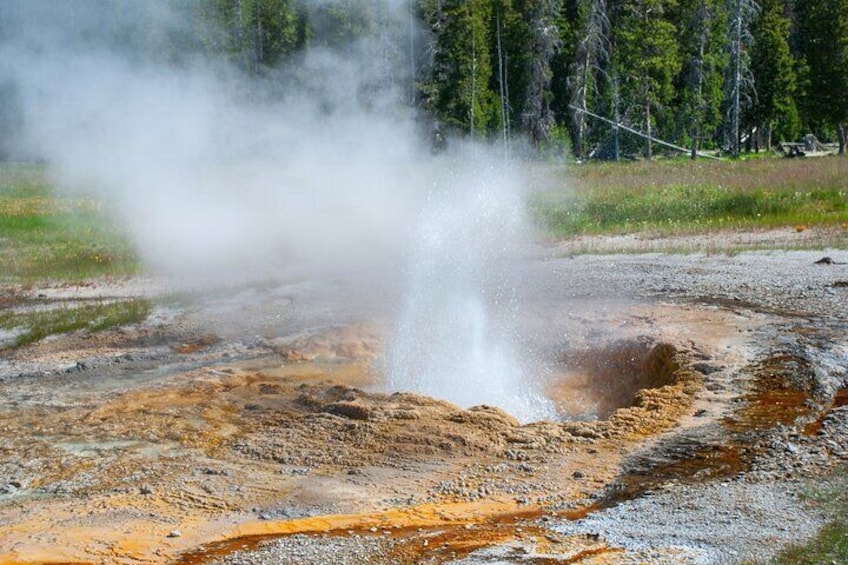 Private 12-Day Self-Guided Audio Walking Tour in West Yellowstone