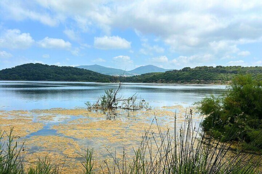 Guided Quad Bike Tour with Swim Stop in Alghero