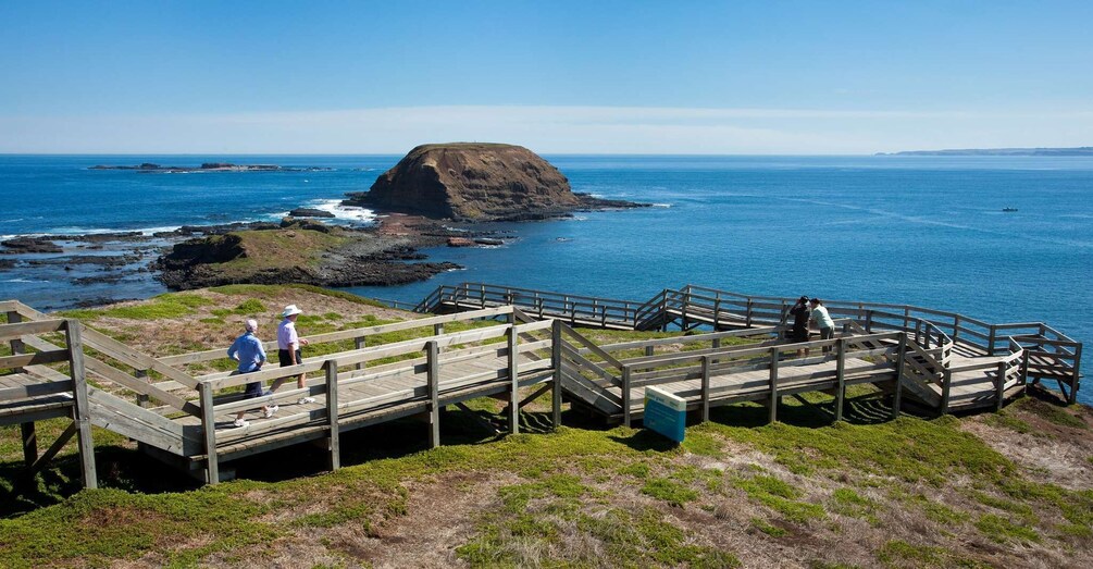 Picture 2 for Activity From Melbourne: Phillip Island Penguin Parade Express Trip