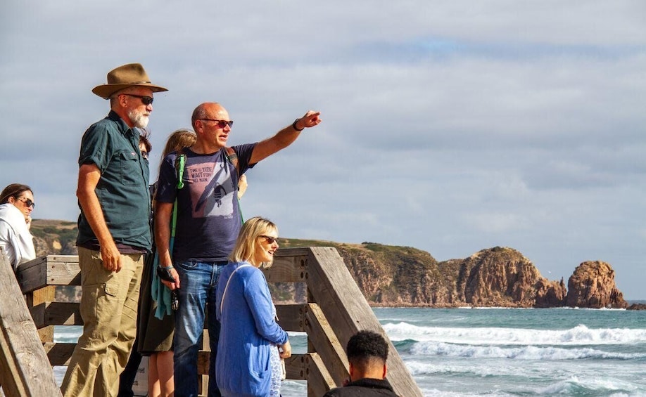 Picture 5 for Activity Phillip Island & Penguin Parade Midday Tour from Melbourne