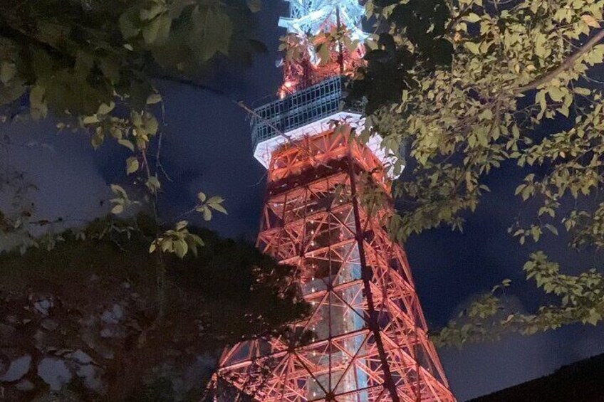 Private Walking Tour with Bar Hopping around Tokyo Tower