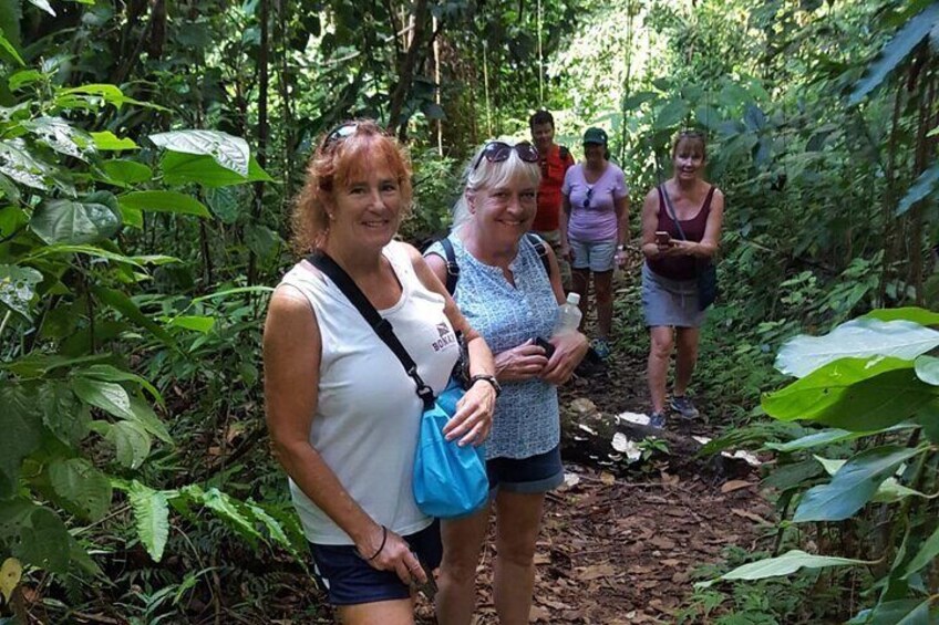 St. Kitts Scenic Rainforest Hike Tour with Snacks