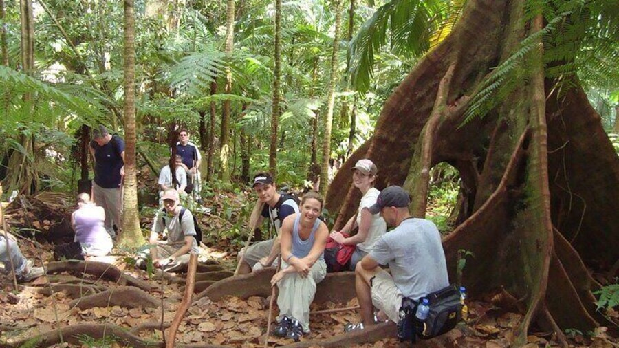 St. Kitts Scenic Rainforest Hike Tour with Snacks