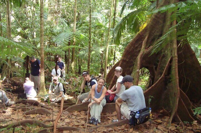 St. Kitts Scenic Rainforest Hike Tour with Snacks