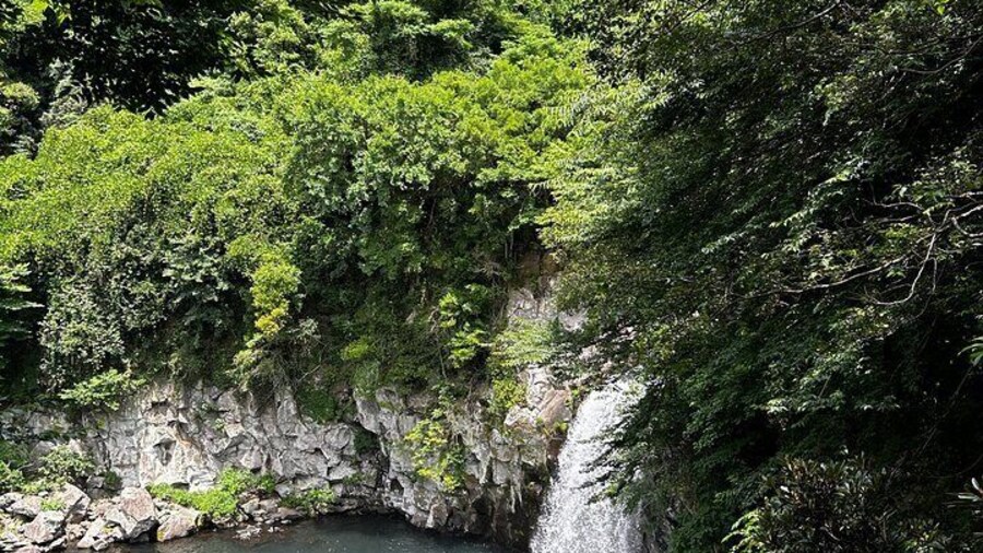 Chenjeyeon Waterfall