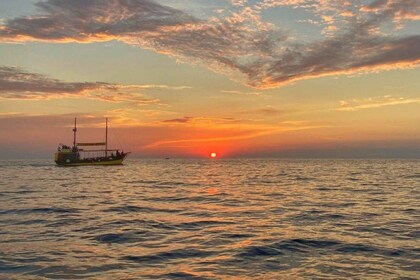 Vrsar: tour en barco para observar delfines con bebidas incluidas