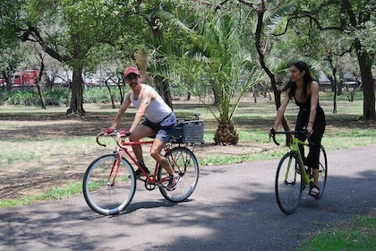 Magical nature tour with yoga and lunch by bike