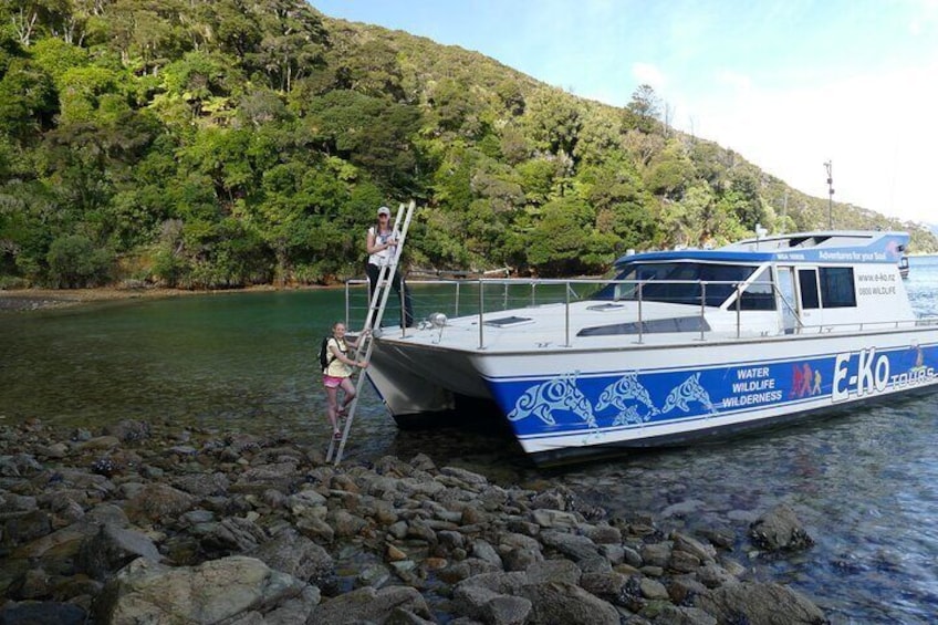 Only our Boats are set up to access this location for the start of Kupes Trail were your adventure Begins after visiting Moturara Island Premier Wildlife Sanctuary Island as a Guided Experience :-) 