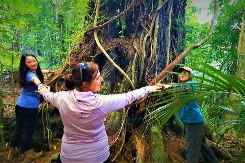 Touch and connect with a Forest Giant , this TREE is over 1500 years old and 18 foot at the base - she is a TRUE Granmother off the local Forest and we have marked its SECERT location on your MAP 