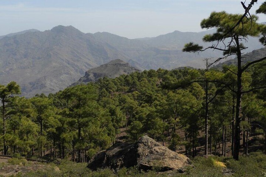 6-Hour Hiking Route through the Inagua Nature Reserve