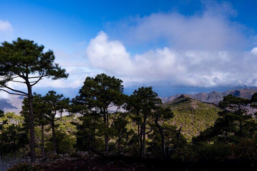 6-Hour Hiking Route through the Inagua Nature Reserve