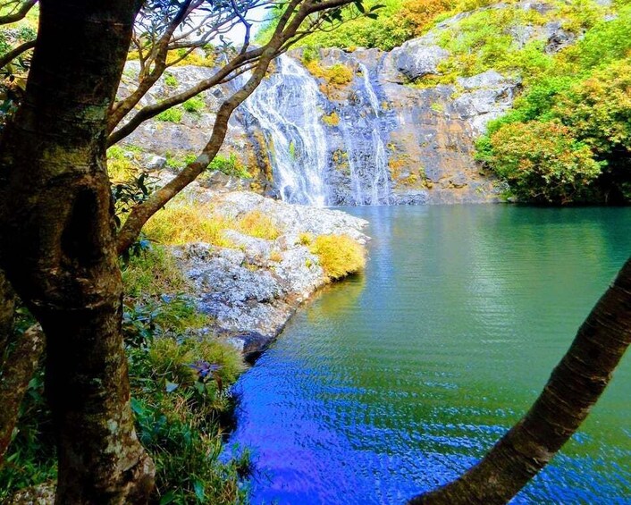 Picture 1 for Activity Mauritius: Guided Tamarind Falls Hike with Hotel Transfers