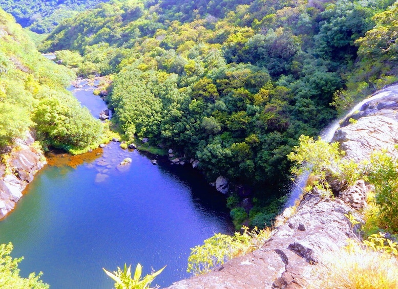 Picture 2 for Activity Mauritius: Guided Tamarind Falls Hike with Hotel Transfers