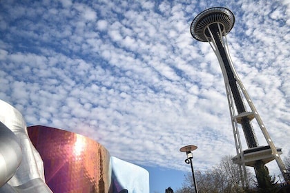 Space Needle & Seattle Center Small Group Private Walking Tour