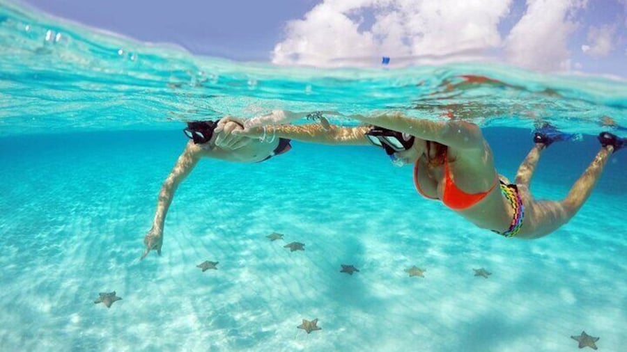 Experience In El Cielo Cozumel An Adventure Among Stars
