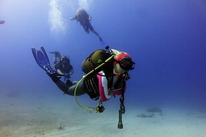 Scuba Diving with BBQ Lunch & Roundtrip Transfer from Belek