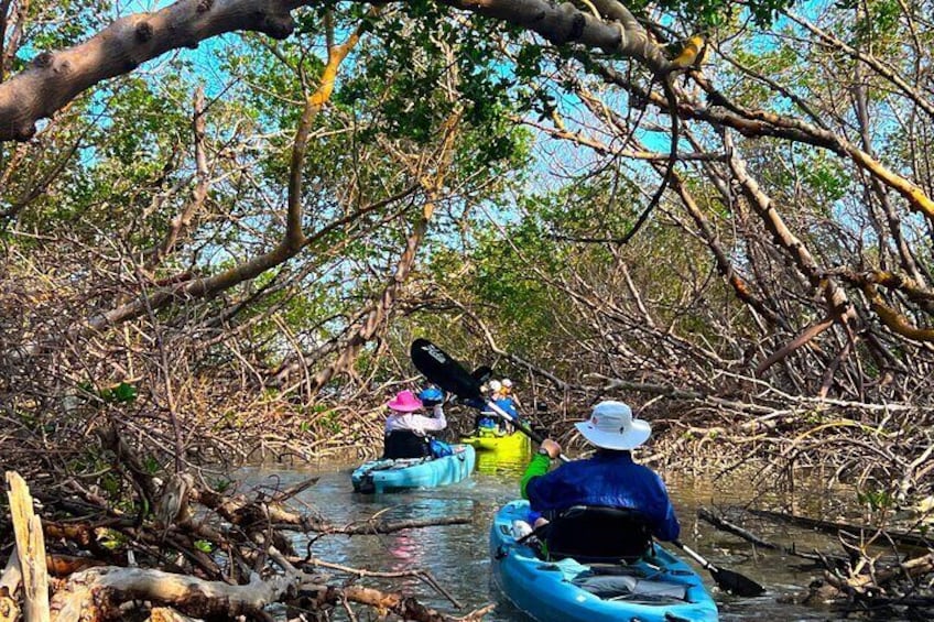 Elite Hobie Kayak Experience: Ultimate Premium Eco Adventure!
