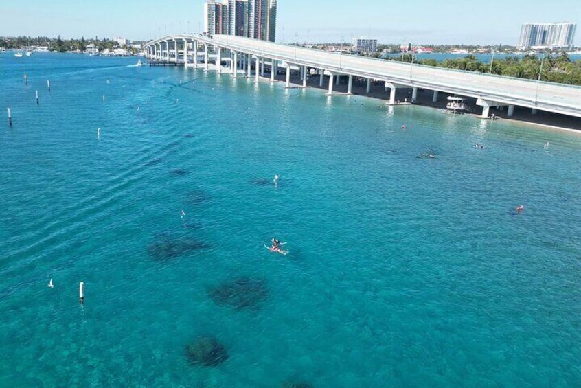 2 ½ - Hour Guided Snorkel Tour of Phil Foster Park, Free Videos!