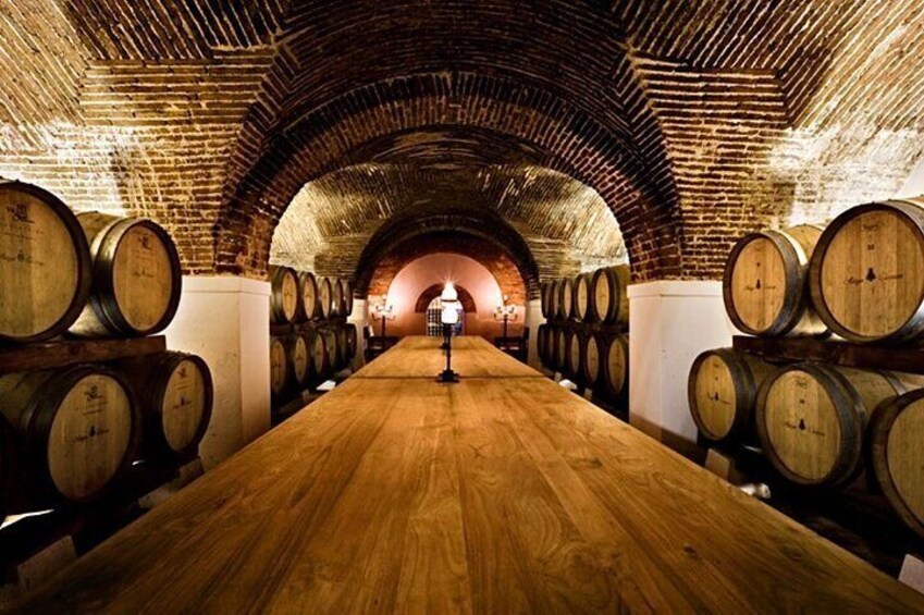 Private Full Day Évora and Alentejo Wine Tour from Lisbon 