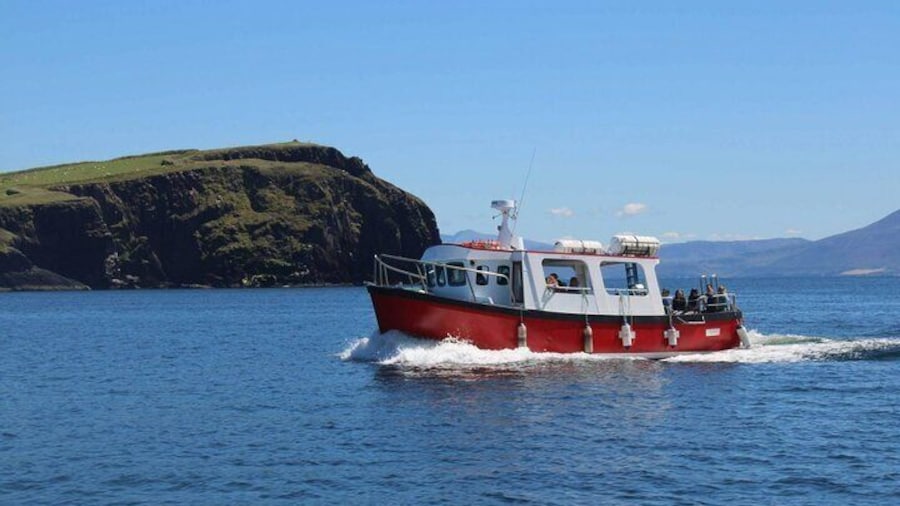2-hour Guided Mini Eco Tour at Dingle, Ireland