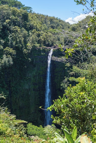 Volcano Adventure Tour From Hilo