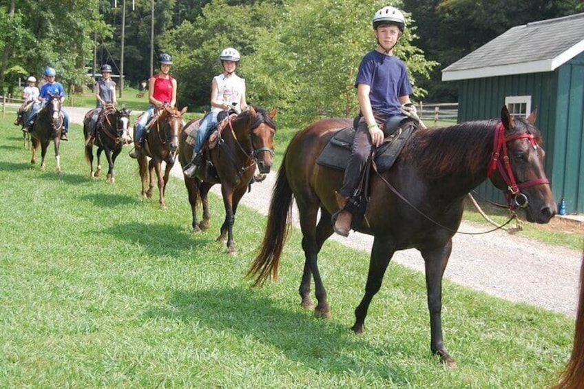 Horse Riding Tour in Belek