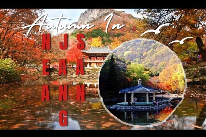 Classic Naejangsan National Park One Day Tour