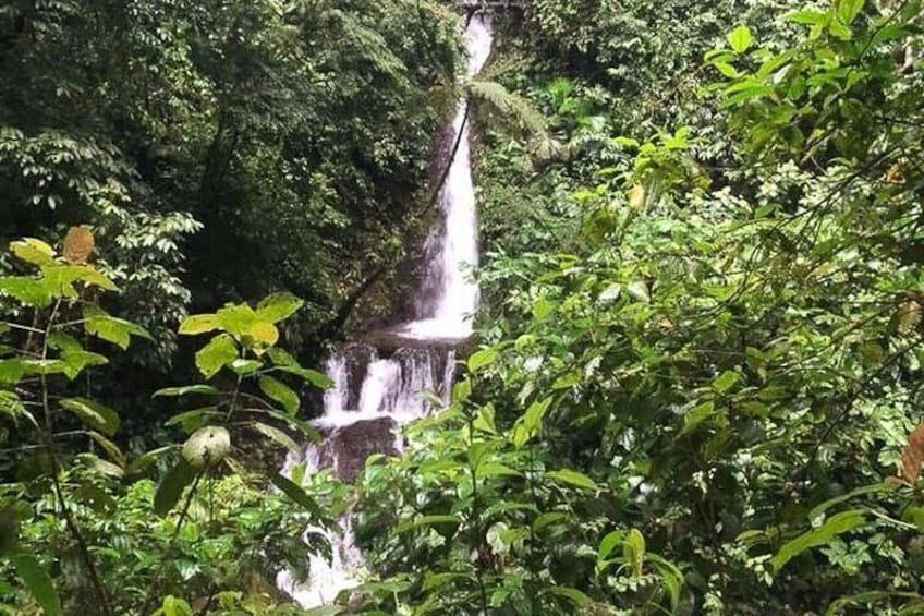 Manuel Antonio ATV Off Road Rainforest & Waterfalls Adventure