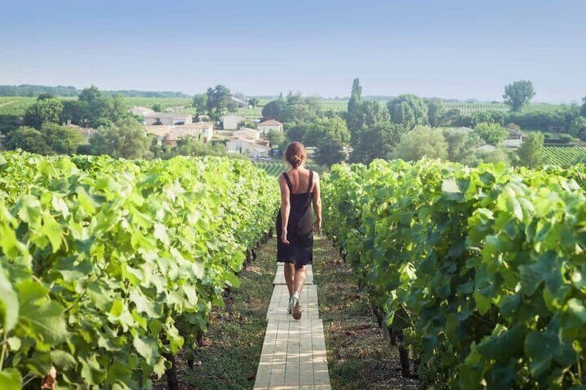 Discover The Cellars in The Heart of The Countryside in Champagne