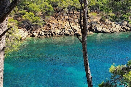 Private Day Trip between St Cyr and Cassis!