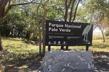 Full Day Private Tour of Palo Verde National Park