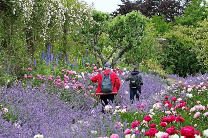 Peony Walk